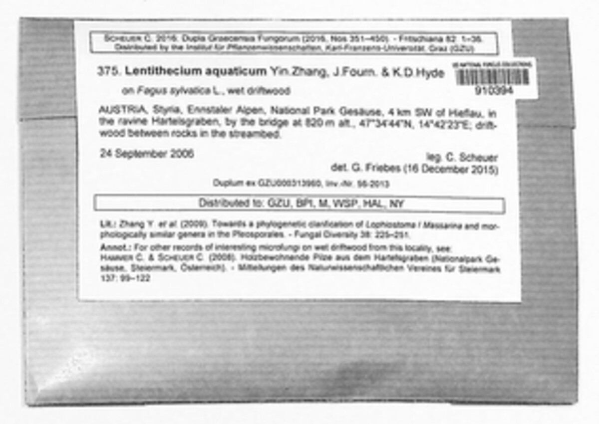 Lentithecium aquaticum image